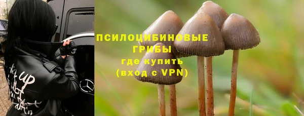 СК Зеленодольск